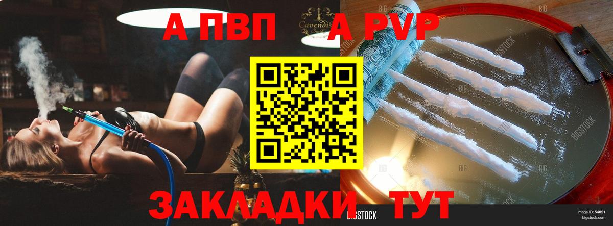 APVP СК Камышин