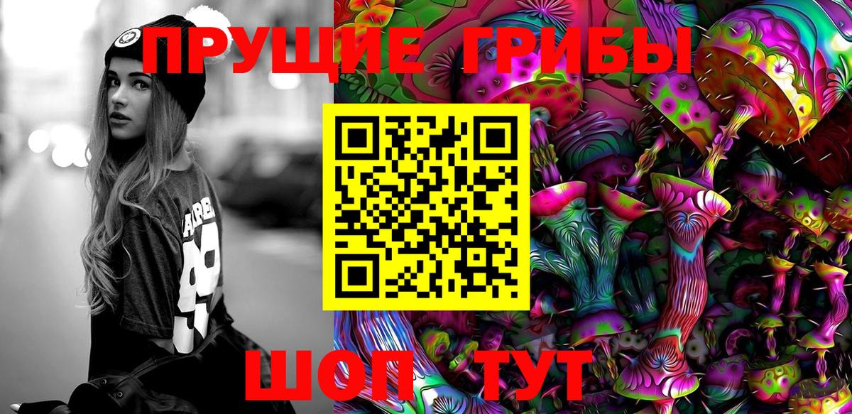 Псилоцибиновые грибы Psilocybe Камышин