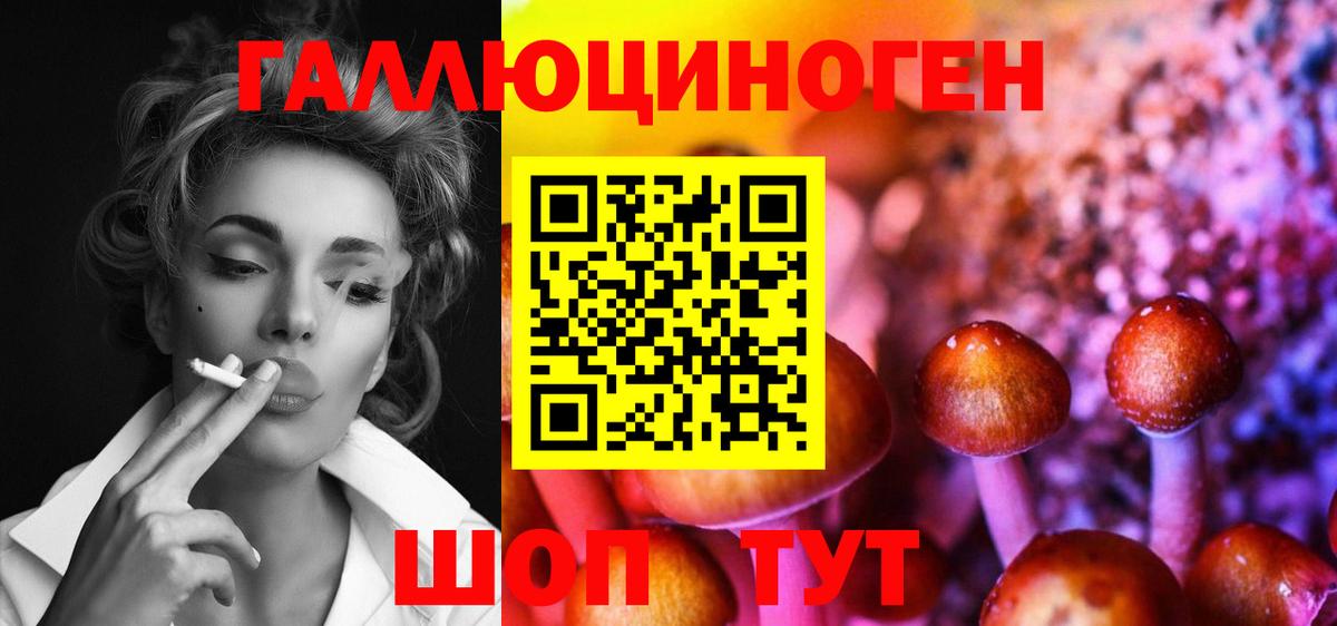 где купить наркоту  Вход с VPN  Камышин  Псилоцибиновые грибы ЛСД 