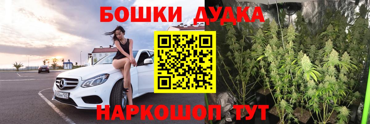 НБОМе Камышин